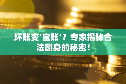 武汉坏账变‘宝账’？专家揭秘合法翻身的秘密！