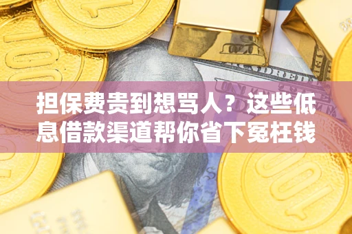 武汉担保费贵到想骂人？这些低息借款渠道帮你省下冤枉钱
