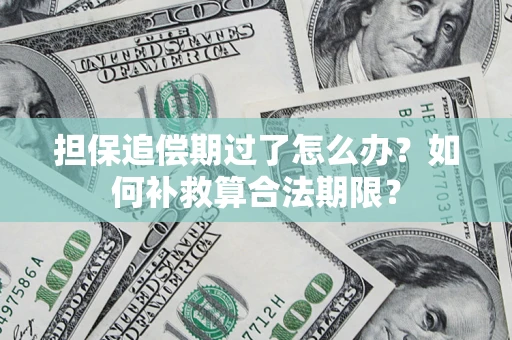 武汉担保追偿期过了怎么办？如何补救算合法期限？