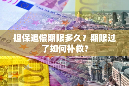 武汉担保追偿期限多久？期限过了如何补救？