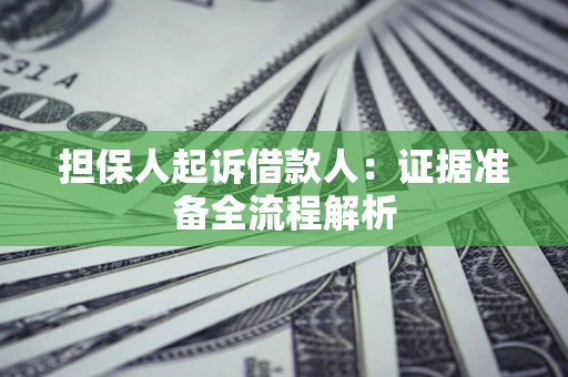 武汉担保人起诉借款人：证据准备全流程解析