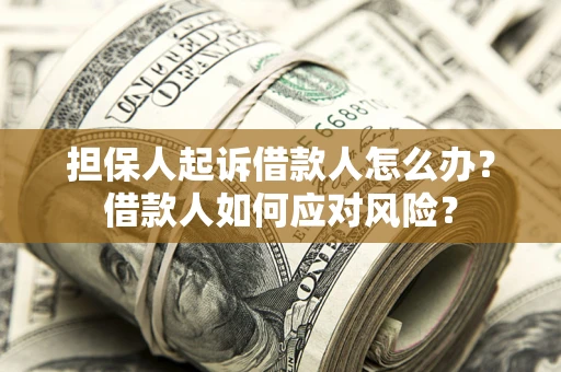 武汉担保人起诉借款人怎么办？借款人如何应对风险？