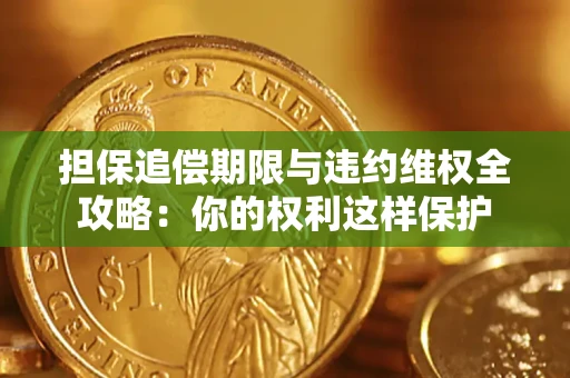 武汉担保追偿期限与违约维权全攻略：你的权利这样保护