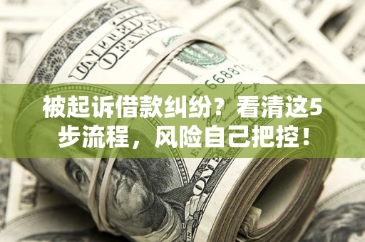 武汉被起诉借款纠纷？看清这5步流程，风险自己把控！